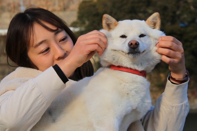 ウチのコが一番かわいい