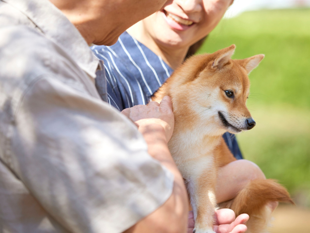 人と犬