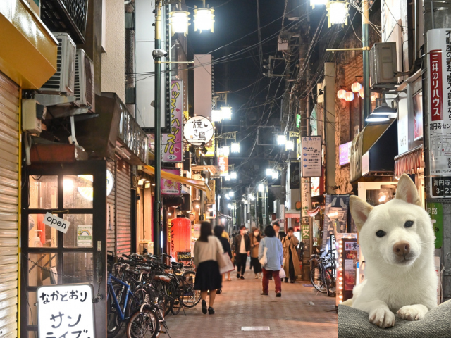 柴犬と人々の暮らし