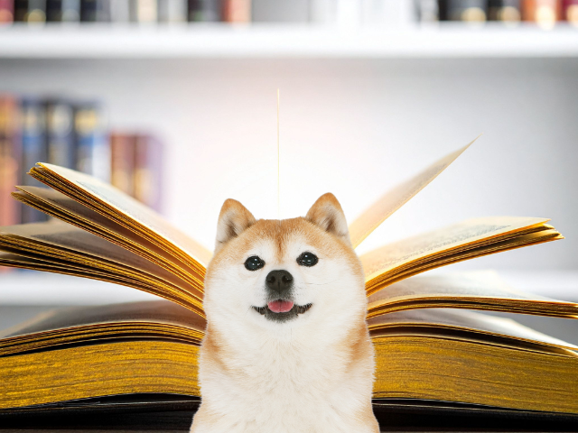 犬文学