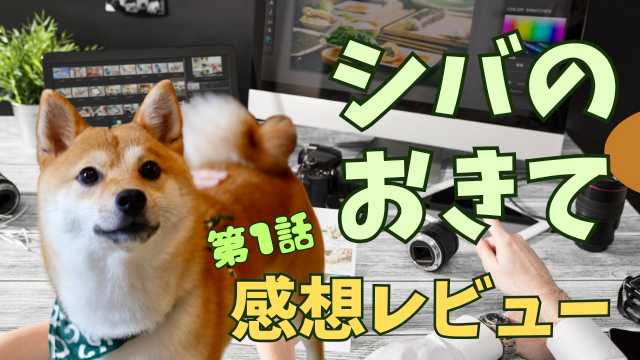 第1話　レビュー